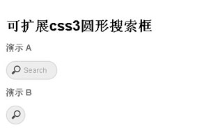 可扩展css3圆形搜索框
