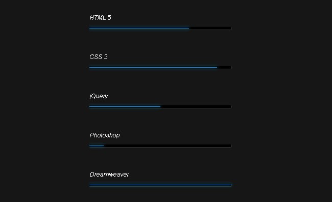 CSS3个人技能进度条