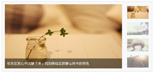 js简单图片轮播切换