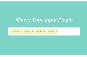 jQuery添加删除标签插件