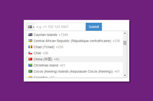 jQuery国际电话输入插件