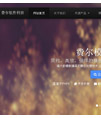 费尔模板引擎