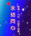 程序员表白源码