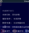 支持流媒体的视频播放器