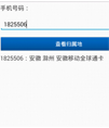 异步查询手机号归属地
