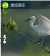 潮流音乐