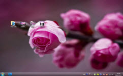 含苞待放电脑主题 win7版