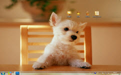 调皮狗狗电脑主题 win7版