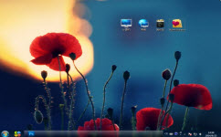  罂栗花朵电脑主题 win7版
