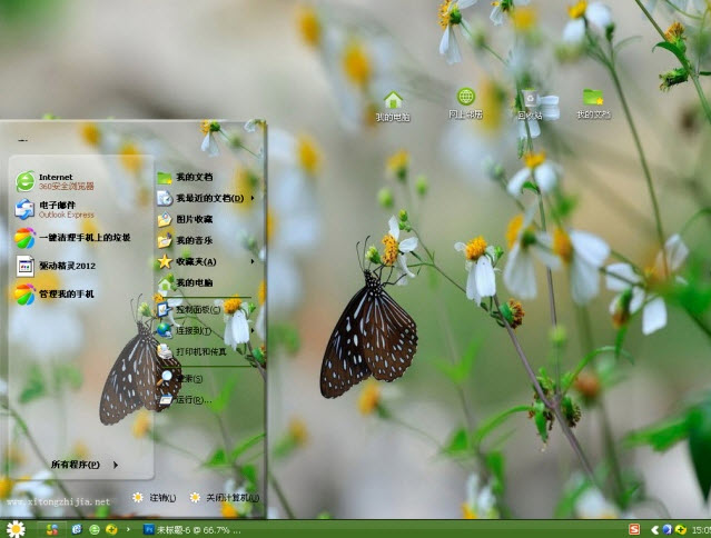 蝴蝶与花电脑