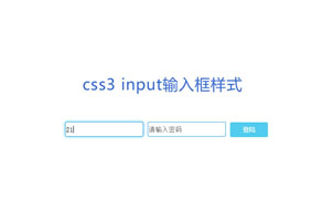 CSS3 input输入框蓝光特效