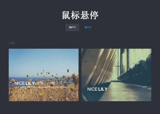 CSS3鼠标悬停图片文字动画效果代码