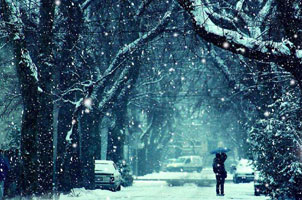 唯美雪景雪花飘落效果代码