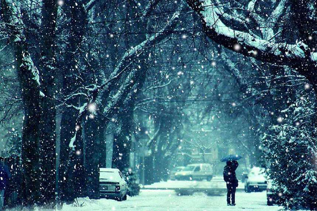 唯美雪景雪花飘落效果代码