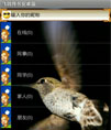 Android 仿飞鸽传书源码
