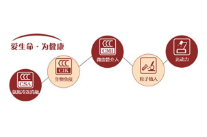 纯CSS3悬停图标旋转导航动画代码