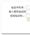 .net调用语音短信接口源码