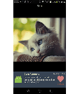  Android--ViewPage滑动加载大图和点击关注效果