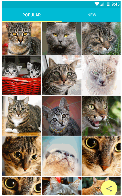 Android项目源码展示猫图片的Material风格APP