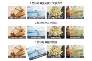css3鼠标滑过图片文字动画特效