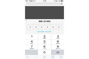 js仿手机支付宝支付密码特效