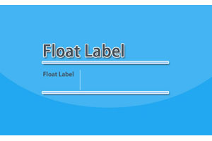 jQuery表单浮动文字标签代码