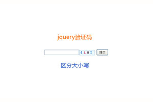 jQuery区分大小写验证码输入框