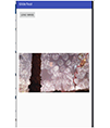 Android glide框架加载gif图片
