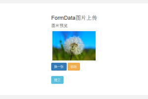 FormData图片上传预览插件