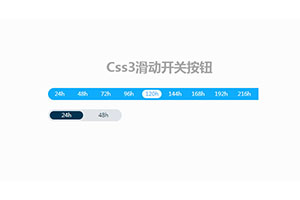 jQuery+CSS3选择滑块按钮代码