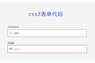 CSS3表单输入框动画特效