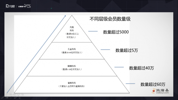 小群效应：社群运营该怎么玩？