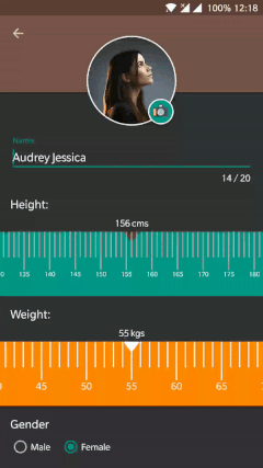 使用标尺从指定范围中选取数字的Android自定义视图