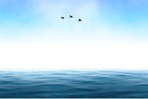 SVG大海海鸥飞过场景特效