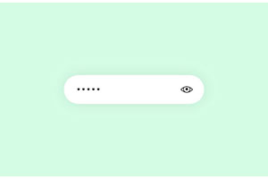 输入密码时显示隐藏CSS3特效