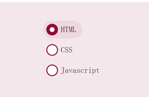 CSS3单选按钮动画特效