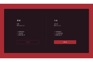 会员项目定价卡css3特效